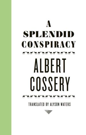 Cover of the book A Splendid Conspiracy by Tennessee Williams