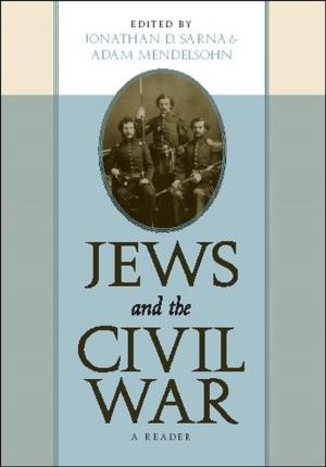 Cover of the book Jews and the Civil War by Patricia Melzer