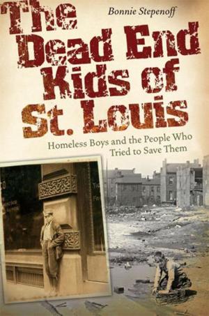 Cover of the book The Dead End Kids of St. Louis by Seth Allcorn, Howard F. Stein