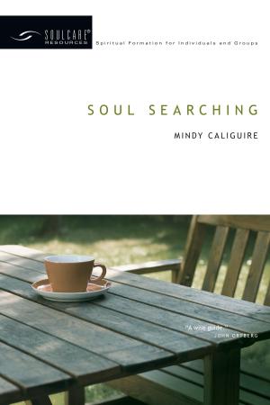 Cover of the book Soul Searching by N. T. Wright