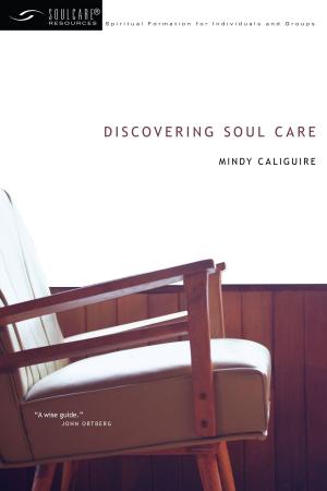Cover of the book Discovering Soul Care by Greg Ogden
