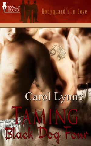 Cover of the book Taming BlackDog Four by Vicki Shankwitz, Megan Pitts