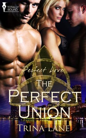 Cover of the book The Perfect Union by Donna Gallagher