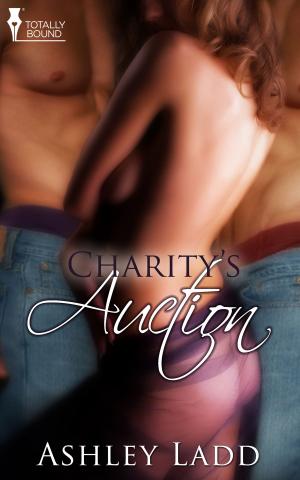 Cover of the book Charity's Auction by L.M. Somerton