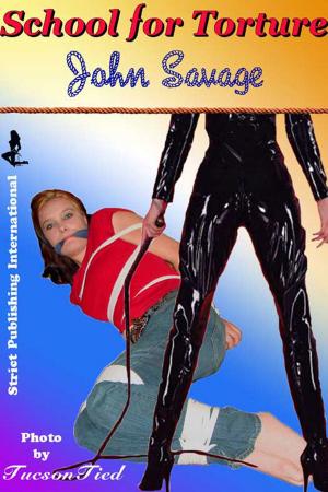 Book cover of School for Torture