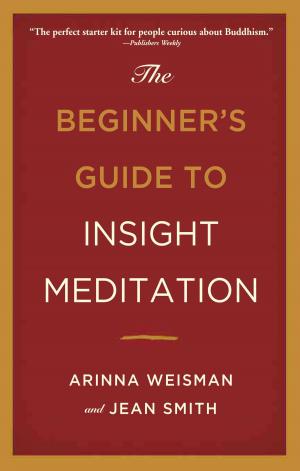Cover of the book The Beginner's Guide to Insight Meditation by Joan D. Stamm