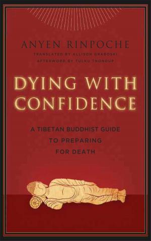 bigCover of the book Dying with Confidence by 
