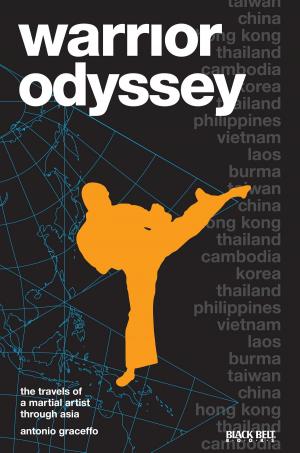 bigCover of the book Warrior Odyssey by 
