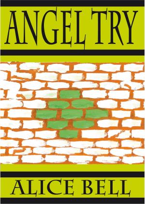 Cover of the book Angel Try by Megan Allen