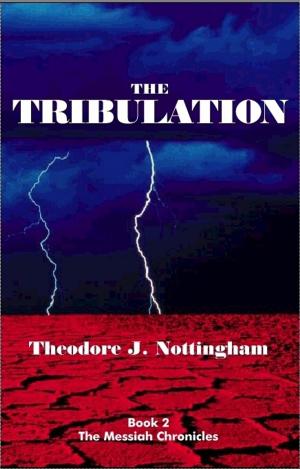 Cover of the book The Tribulation by Theosis Books