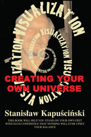 Cover of the book Visualization: Creating Your Own Universe by Michael R. Clarke