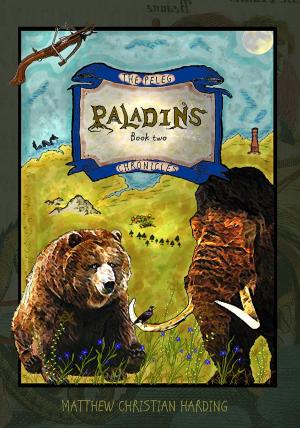 Cover of the book Paladins by J.A Sebastin