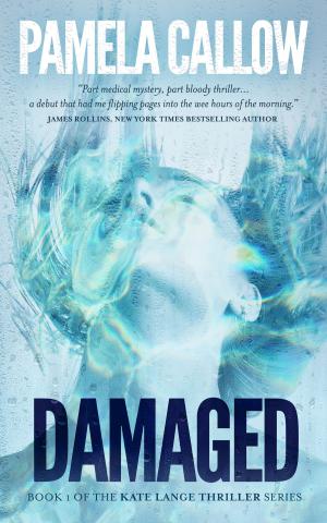 Cover of the book DAMAGED by Daniel Hernandez