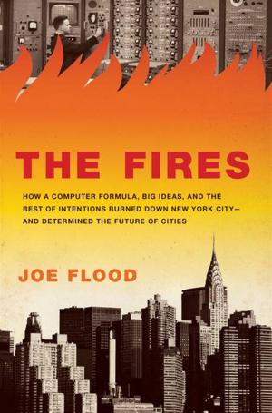 Cover of the book The Fires by Daniel Kline, Jason Tomaszewski