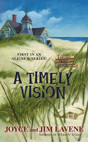 Book cover of A Timely Vision