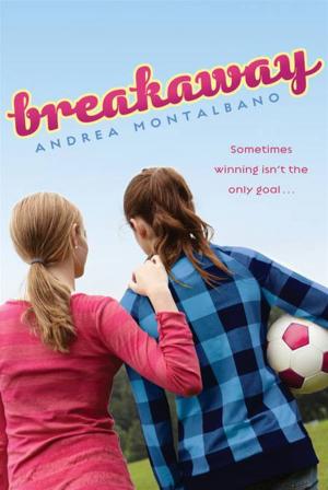 Cover of the book Breakaway by Danielle Vega