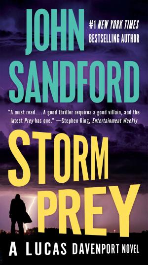 Cover of the book Storm Prey by Lisa Hendrix