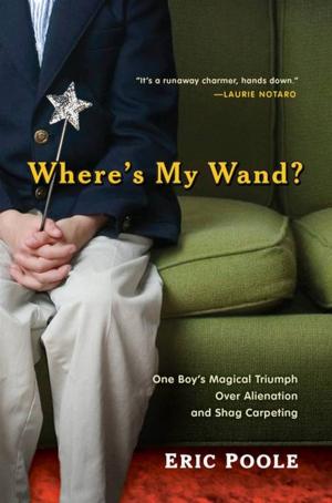 Cover of the book Where's My Wand? by Devan Sipher
