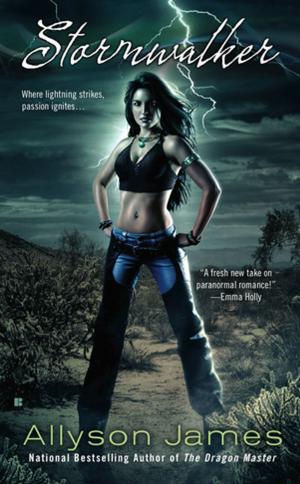 Cover of the book Stormwalker by Lexi C. Foss