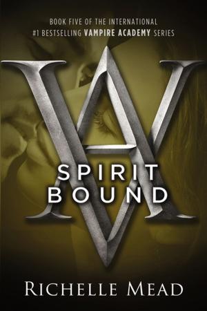 Cover of the book Spirit Bound by S.A. Geary
