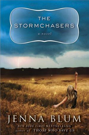 Cover of the book The Stormchasers by Thomas E. Sniegoski