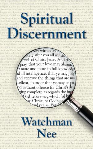 Cover of the book Spiritual Discernment by Luciano Vilaça