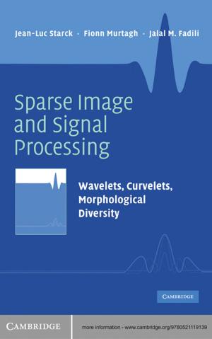 Cover of the book Sparse Image and Signal Processing by Jose Daniel Amado, Jackson Shaw Kern, Martin Doe Rodriguez