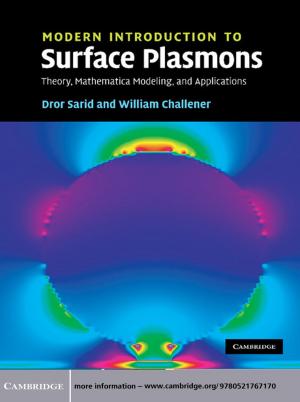 Book cover of Modern Introduction to Surface Plasmons