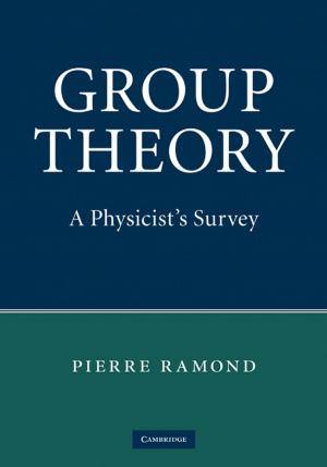 Cover of the book Group Theory by Patrick Duignan