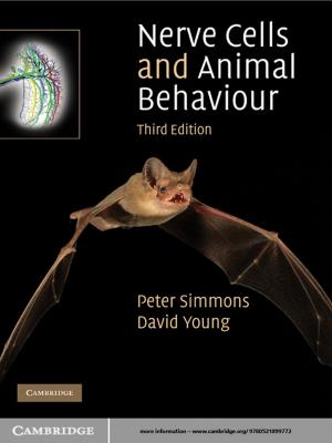 Book cover of Nerve Cells and Animal Behaviour