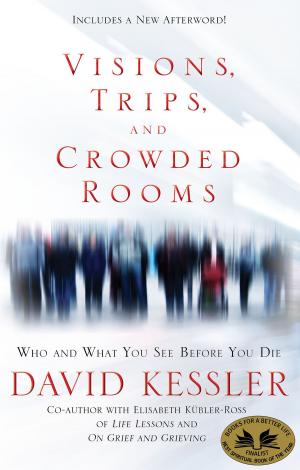 Book cover of Visions, Trips, and Crowded Rooms