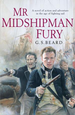 Cover of the book Mr Midshipman Fury by David Meikle, Kate Beal Blyth
