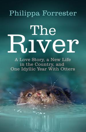Cover of the book The River by Sean Arbabi
