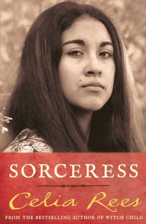 Cover of the book Sorceress by Beth Chambers