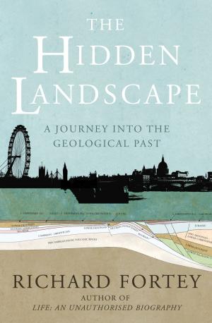 Book cover of The Hidden Landscape