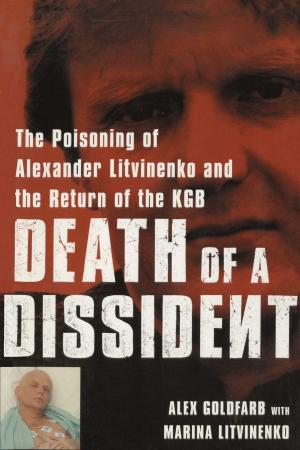 Cover of the book Death of a Dissident by Morgan McCarthy
