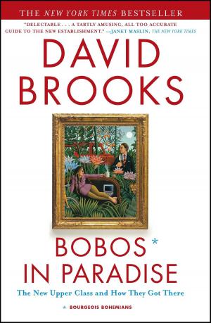 Book cover of Bobos in Paradise