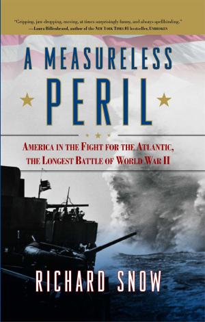 Cover of the book A Measureless Peril by Robert Cohen