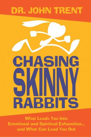 Cover of the book Chasing Skinny Rabbits by Dr. David Jeremiah