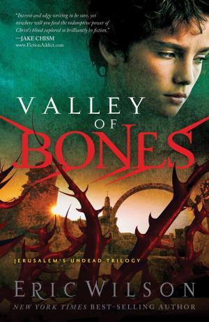 Cover of the book Valley of Bones by Robert Crosby