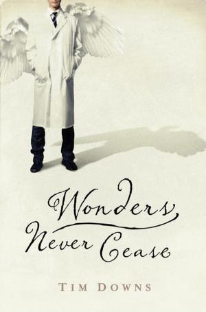Book cover of Wonders Never Cease