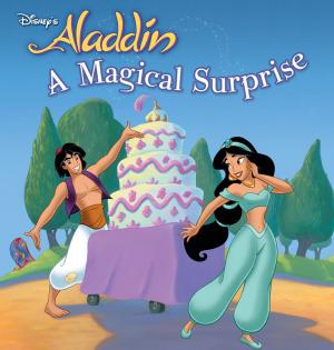 Book cover of Aladdin: A Magical Surprise