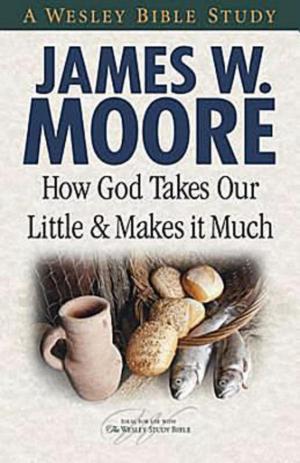 Cover of the book How God Takes Our Little & Makes It Much by Toni Birdsong, Tami Heim