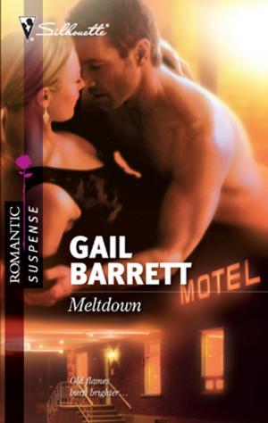 Cover of the book Meltdown by Valerie Francis