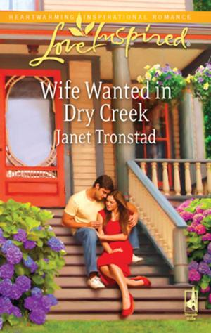 Cover of the book Wife Wanted in Dry Creek by Ginny Aiken