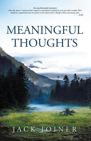 bigCover of the book Meaningful Thoughts by 