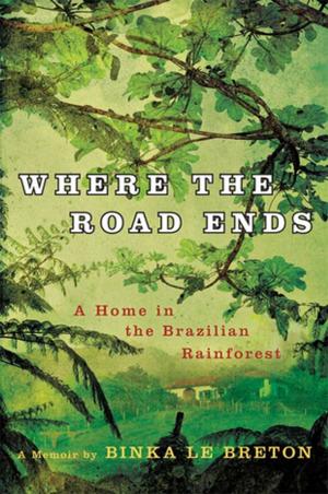 bigCover of the book Where the Road Ends by 