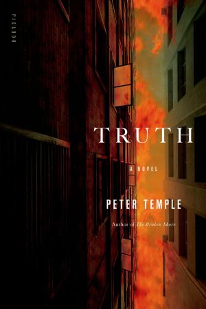 Cover of the book Truth by James McMichael