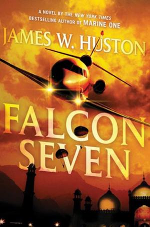 Cover of the book Falcon Seven by Nancie Clare