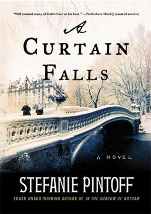 Cover of the book A Curtain Falls by James Bovard